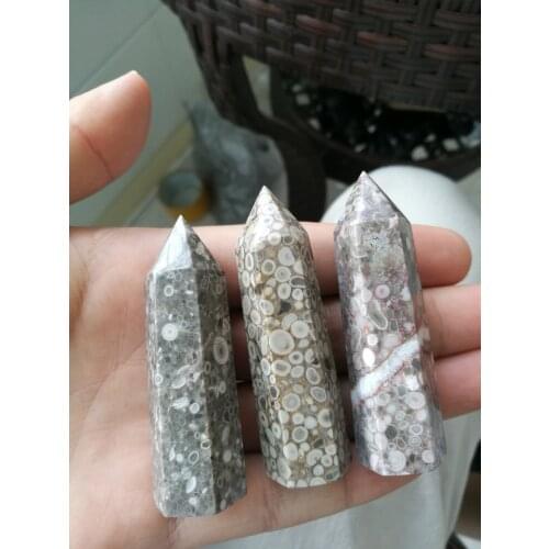 3pcs Natural crystal insect fossil reiki healing point