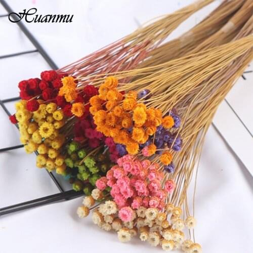 50pcs 1Bouquet New Flower Natural Dried Flower Bouquet Home Decoration Real Flower Diy Flower Arrangement Flower Shooting Props