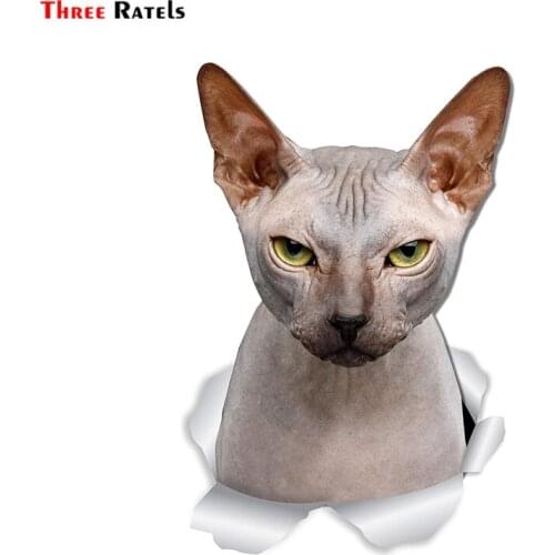Three Ratels 1095 3D for Hairless Sphynx Cat kitty Wall Decals Toilet Stickert Car Window and Bumper Sticker