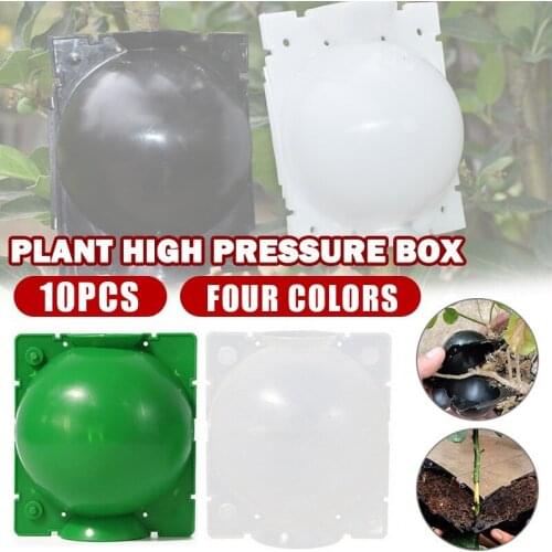 20/50pcs PP Lant Propagation Box Grafted Rooter Tree Altitude Pressure Branch Plant Propagation Ball For Indoor Outdoor Plant