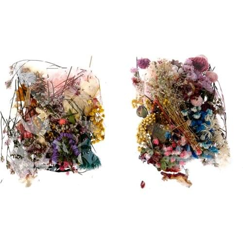 Dried Flower Pressed Leaf Daisy Flower Resin Beauty Art Decals Epoxy Mold Fillings Jewelry Making Tool Craft DIY Accessories