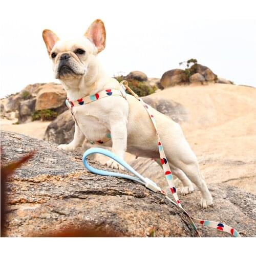 Pets Shop French Bulldog Accessories Choker Neck Semicircle Pattern Collars Leashes Dogs Belt Strap Breast-band Small Harness