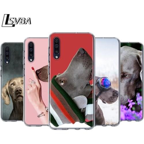 Weimaraner Dog Fashion For Samsung Galaxy A90 A80 A70 A60 A50 A40 A30 A32 A52 A72 A02S A2 A20S A20E A10S A10E A10 Phone Case