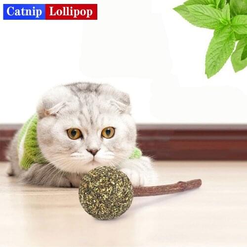 1Pcs Pet Cat Natural Fresh Cat Mint Ball with Catnip Stick Teeth Cleaning Cat Playing Chew Toys