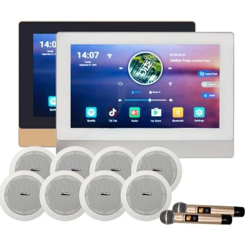 Family Karaoke KTV System Home Audio Amplifier Spiker Karaoke Player with Microphone