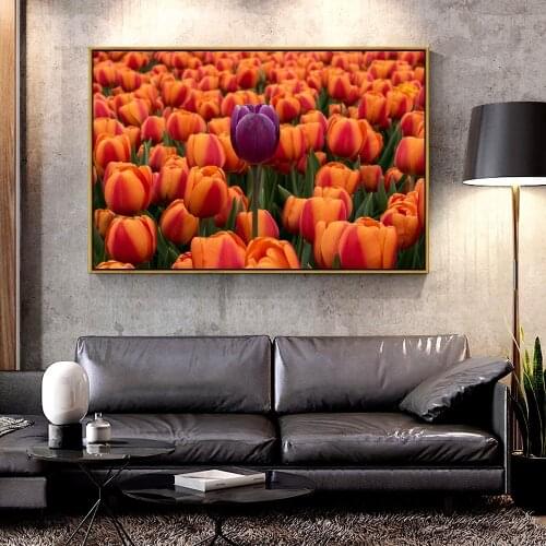 Artcozy Oil Canvas Painting tulips_flower_bed_contrast For Home Decoration Wall Art