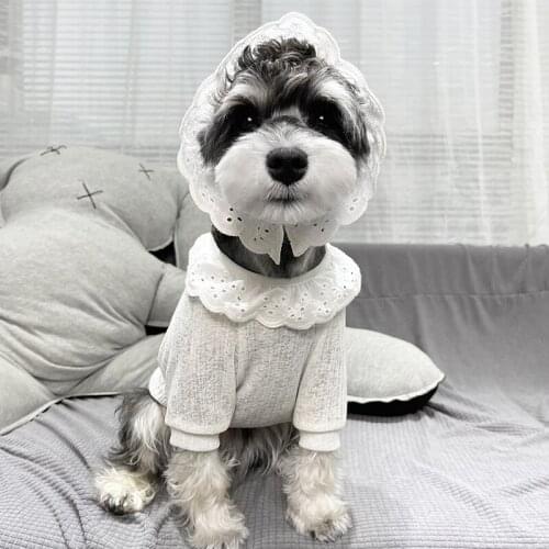 French Bulldog Pet Dog Clothes for Small Dogs Clothing Set Puppy Lace Hat Spring Chihuahua Breathable Tshirt Dog Accessories