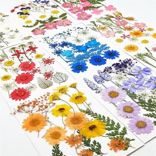 1 Pack Colorful DIY Dried Real Flowers Resin Mold Fillings UV Epoxy Flower for Nail Art Pressed Flowers Home Decor Handicraft
