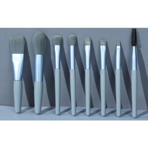 LZDLKDR Blush Brushes