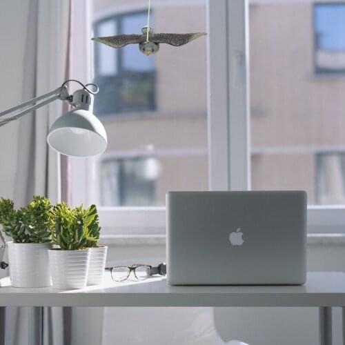 Realistic Flying Bird Hawk Pigeon Decoy Pest Control Garden Scarer Scarecrow Ornament