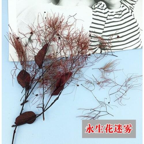 Eternal Flower Misty Lover Grass Fairy Grass Real Flower Chaos Grass Fire-Free Aromatherapy Bottle Decoration