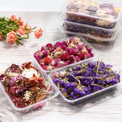 1 Box Real Dried Flowers Plants Fillings for Resin Mold Fillings Epoxy Resin Mould Jewelery Making DIY Crafts Accessories Tool