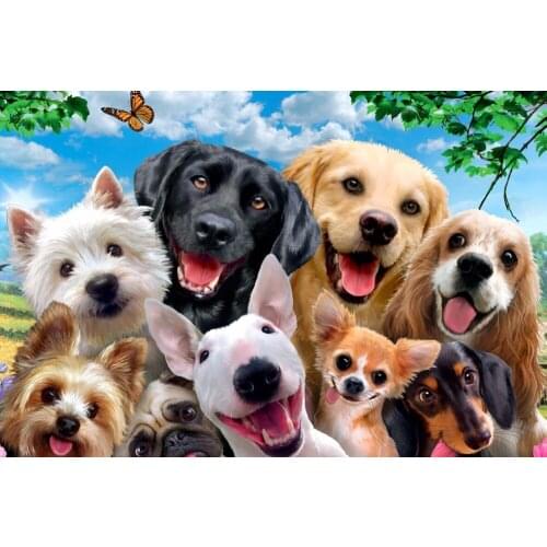 Dolphin Bay The wooden puzzle 1000 pieces ersion jigsaw puzzle white card adult childrens educational toys