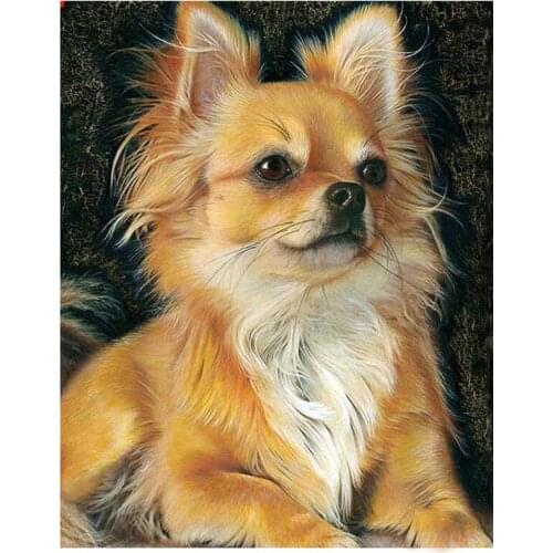 Full Square Drill 5D Diy Diamond Painting Chihuahua Dog Diamond Embroidery Cross Stitch Rhinestones Paintings By Numbers
