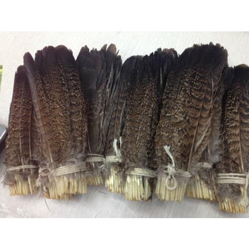 Wholesale high quality 10pcs natural eagle feather 20-25cm / 8-10inch various decorative diy collect