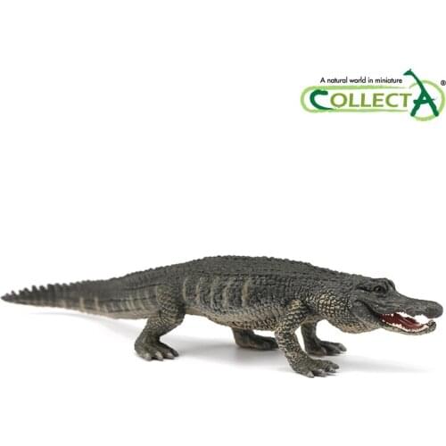 Collecta 