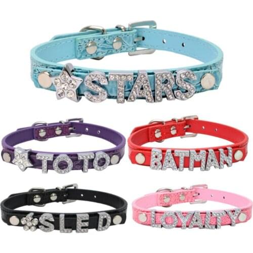20pcs/lot XS/S/M/L Crocodile Pattern Name cat dog pet collar with 10mm small belt fit for 10MM slide letters charms