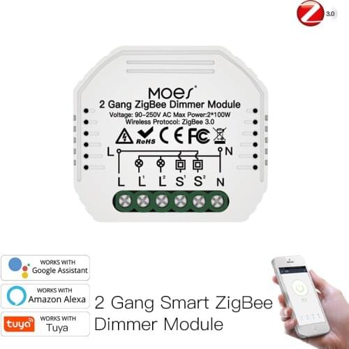Zigbee Mini DIY Smart 2 Gang Light Dimmer Module Hub Smart Life /Tuya APP Wireless Remote Control Works With Alexa Google Home