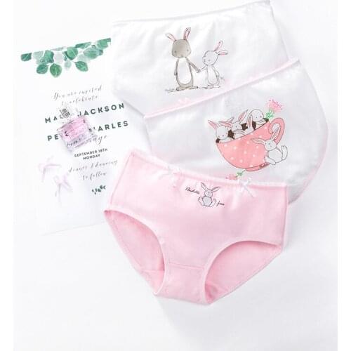 Children Clothing Baby Girl Underwear 3pcs/lot Fashion Kids Panties Girls' Briefs Female Child Underwear Lovely Cartoon Panties