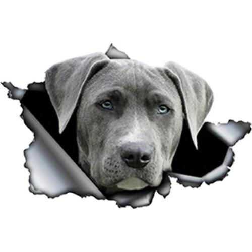 Creative Decal Grey Weimaraner Car Sticker Torn Metal Decal Reflective Stickers Waterproof 3D Car Styling Pet Dog,13cm*8cm