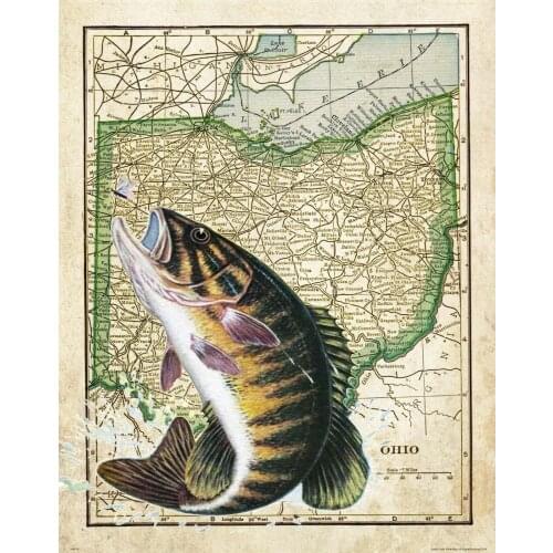 Ohio State Map Art print Silk poster Home Wall Decor