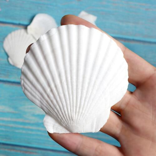 Painted Graffiti Barbecue Painting Graffiti Sticker Wall Fish Tank Parent-child Kindergarten Activities Natural Mediterranean