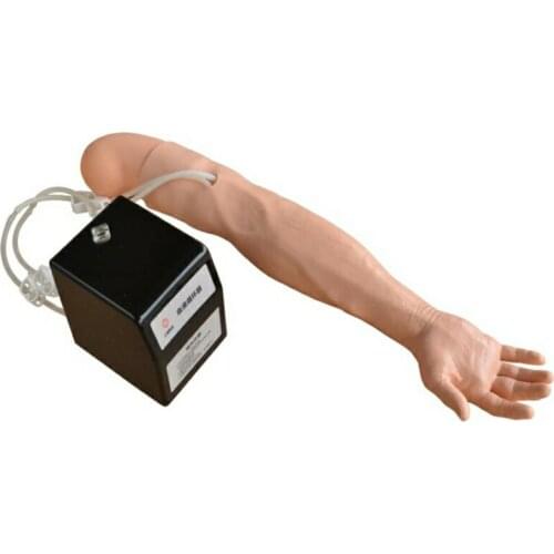 Medical Simulator Advanced Multi-Functional IV Training Arm with Electric Blood Circle System