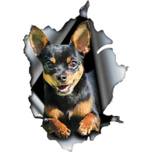 Cartoons Car Sticker Black and Tan Chihuahua Accessories Car Styling Vinyl Motorcycl Decals Scratches Waterproof PVC 13cm X 9cm