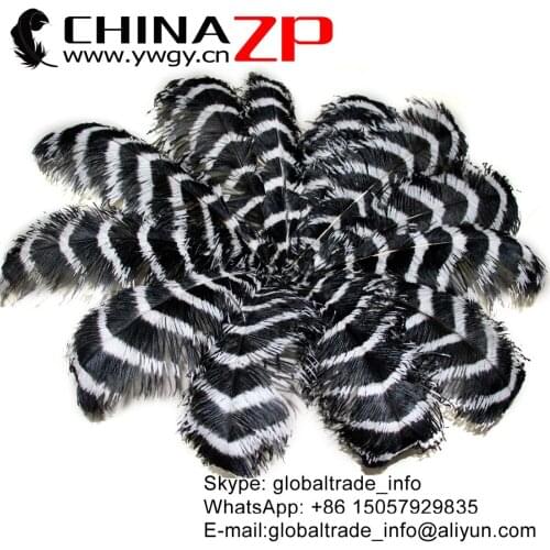 CHINAZP Factory 50pcs/lot 70~75cm(28~30inch) Good Quality Dyed Black and White Ostrich Feathers for Performance Costumes
