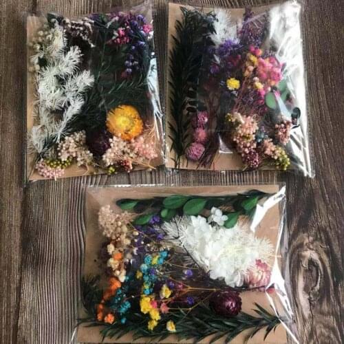 25g Real Natural Dry Plant,Multi style Dried Preserved Flowers For DIY Craft Material,Aromatherapy Candle Epoxy Resin Pendant