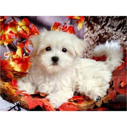 Maltese dogs 5d diy diamond painting full embroidery Cute pet sale Home Decoration white dog square round rhinestones gift CV112