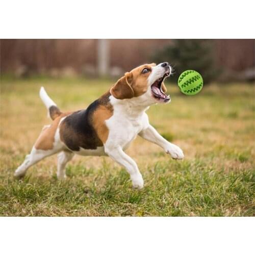 High Quality 7cm Dog Toy Interactive Rubber Balls Pet Dog Cat Puppy Chew Toys Ball Teeth Chew Toys Tooth Cleaning Balls Of Food