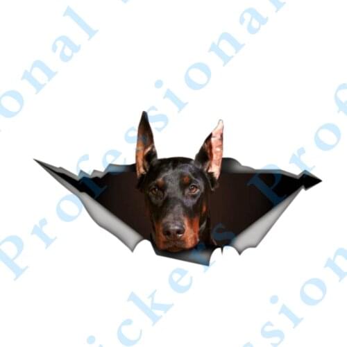 3D Animal 13 x 6.9 Doberman car Sticker Torn Metal Decal Wild Animal Lovely Car Stickers Motorcycle Vinyl 3D Car Styling
