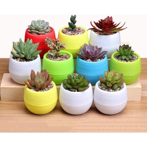 Eco-friendly Colourful Mini Round Plastic Unbreakable Plant Flower Pot Garden Home Office Decor Planter For Succulent Plants