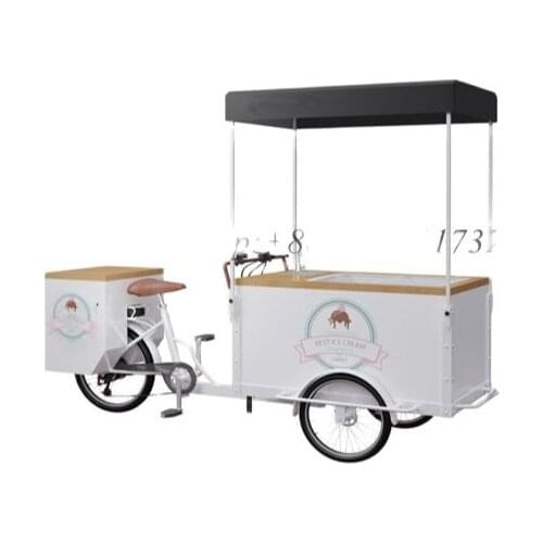 Water System Multi-Purpose Ice Cream Bikes For Sale Cheap Adult Tricycle Freezer Electric Bicycle