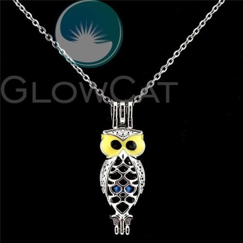 K998 Colors Enamel Owl Bird Beads Pearl Cage Perfume Diffuser Pendants Locket Necklace Women Girl Party Gift
