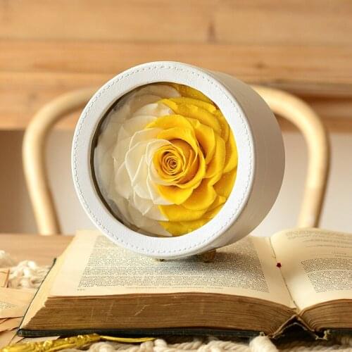Mothers Day Gift Preserved Flower Eternal Rose Home Decor Atificial Flowers Living Indie Room Decoration For Wedding Party