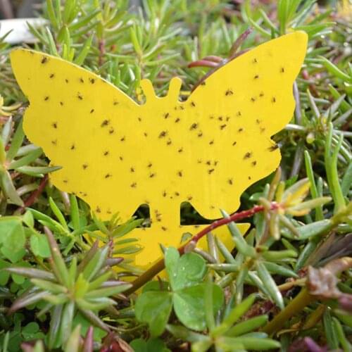 50 Pcs Dual-sided Yellow Sticky Traps For Flying Plant Insect Fungus Gnats Garden Catching Pests High Effective Adhesive