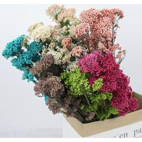 Dried Preserved Millet Flower Natural Fresh Dry Flower Ramillete Flores,Forever Flower Wedding Marriage Home Decor Accessories