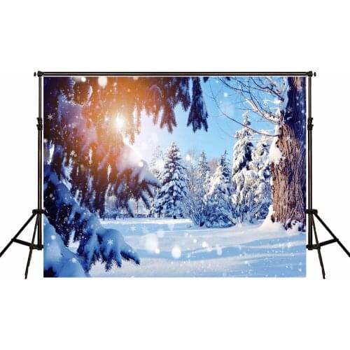 VinylBDS Photo Backdrop Frozen Snow Winter Photography Backgrounds Photographie Cedar Fantasy Sky Photo backdrops Photo Studio