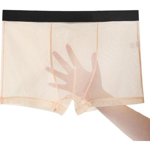 Lace Mesh Yarn Transparent Large Size Breathable Seamless Ice Silk Mens Underwear Panties L-3XL