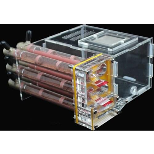 6 Plaster Bamboo Test Tubes Ant Farm House with Feeding Area Pet Anthill Workshops Ant Nest Insect Box Ants House Test Tube Nest