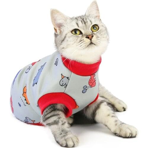 Cat Clothes Cartoon Printing Cute Fruit Animal Pet Vest Kitten T Shirts Milk Silk Cats Sweater Sphinxes Costume For Cat Outfit