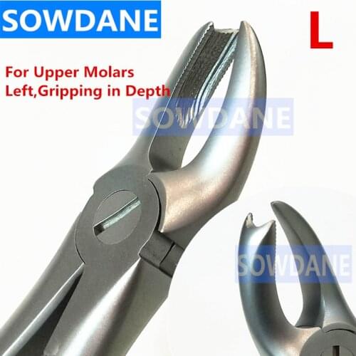 Dental Adult Tooth Extraction Plier For Upper Molars Right Gripping in Depth Dental Orthodontic Surgery Forcep Dentist T
