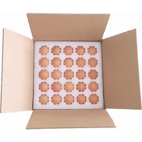 EPE Foam For 20/25/30 Holes Eggs Packaging Materials Packing Pallet Buffer Packing Foam
