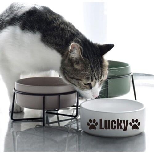 Pet Dog Cat supplies Puppy Toy for Small Dogs Soft Fleece Chew Pet DogCat Toys Plastic Play Balls for Catch Cats Supplies