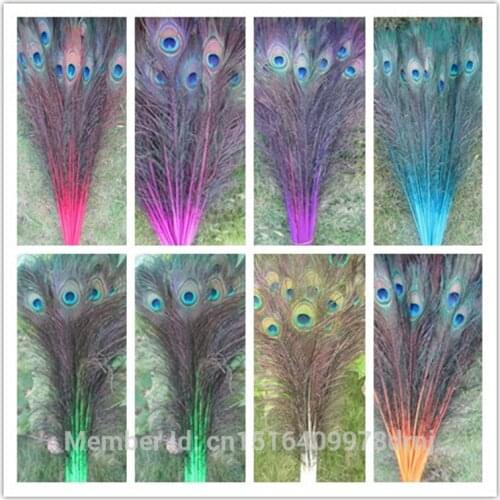 10 pcs natural peacock feathers 28-32 inch 70-80 cm dress decorated with beautiful family weddings in multiple colors to choose