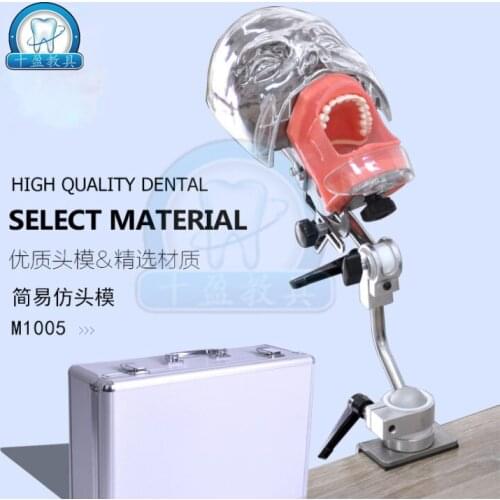 Head dental simulation mold system Dental Training prepared teeth model Adjustable tooth replacement