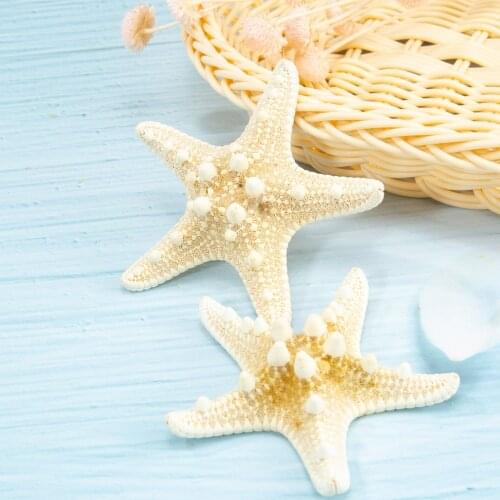 1pcs Starfish Miniature Figurine Home Decoration Accessories Craft Ornaments Sea Stars DIY Beach Cottage Gifts 5-10cm