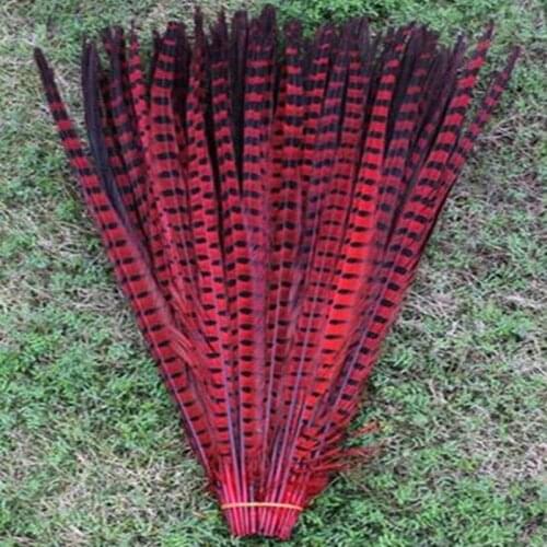 Wholesale 200 pcs beautiful red Pheasant Feather 20-22 inches 50-55 cm free shipping